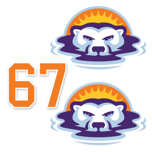 Central Florida Bears helmet decals